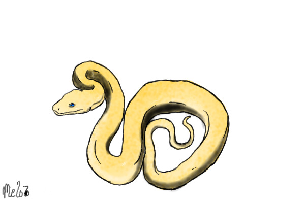 Yuki snake
