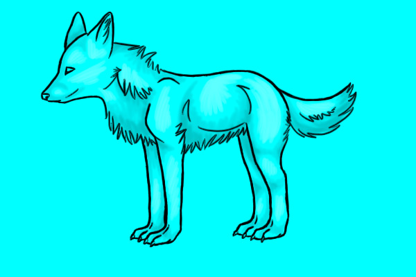 Contest Entry