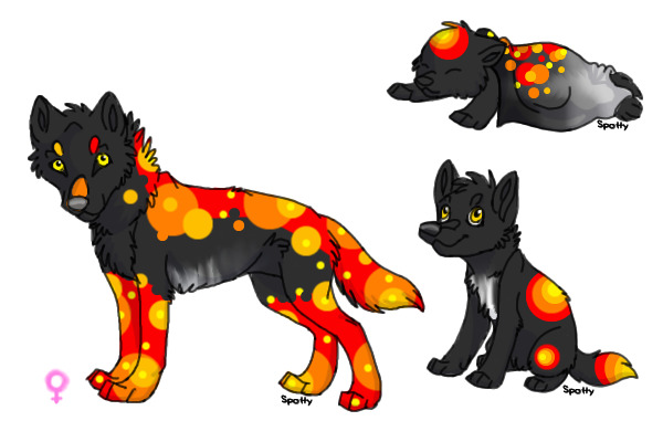 Lava Pup
