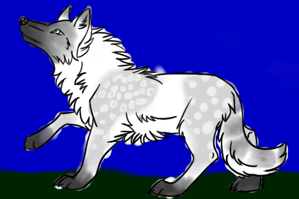 Shilacta
