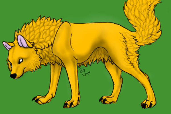 dog