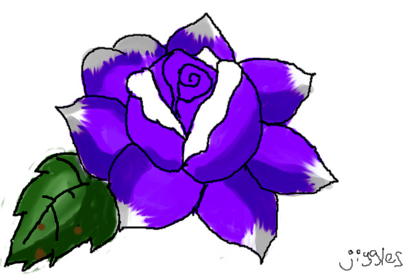 Purple rose
