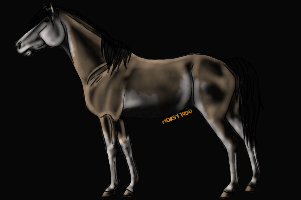 Buckskin Racabino