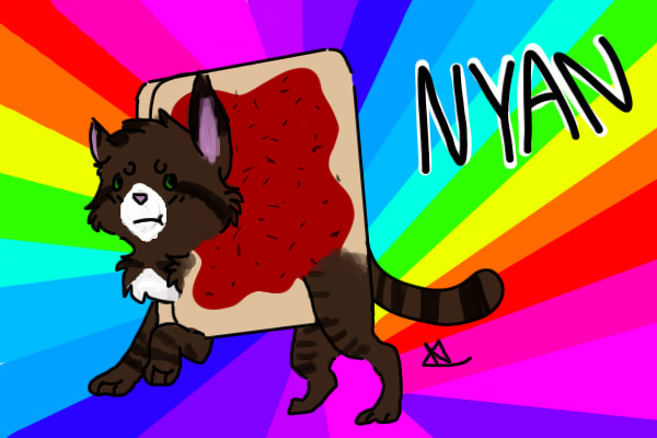 Ozzie does not want to nyan..