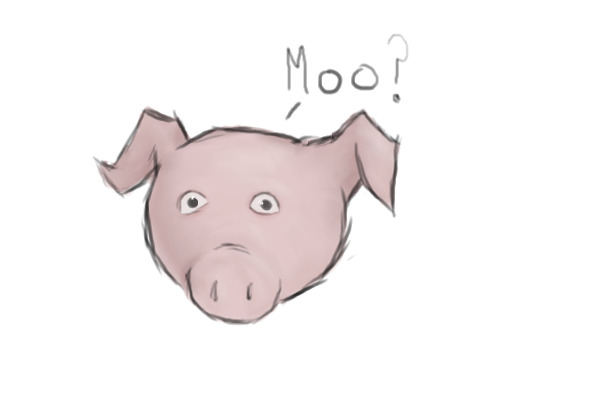 Moo?