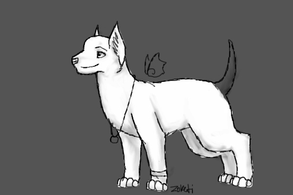 Canine Reference