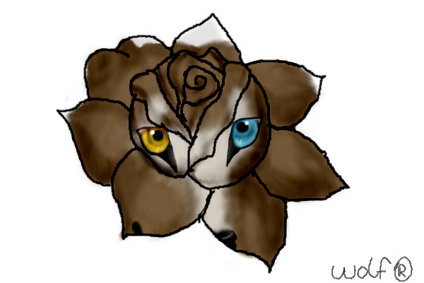 Wolf In A Rose