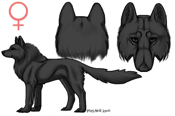 Design my fursona!