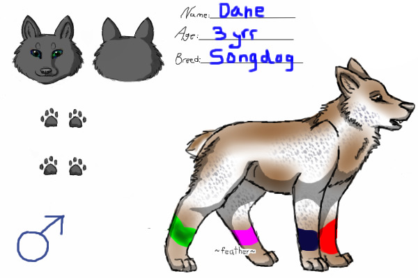 Dane For Now