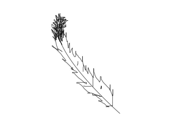random feather