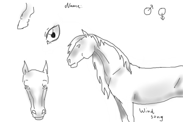 FREE HORSE REFERENCE LINEART. ^^