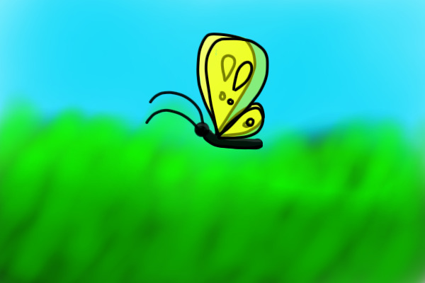 random butterfly