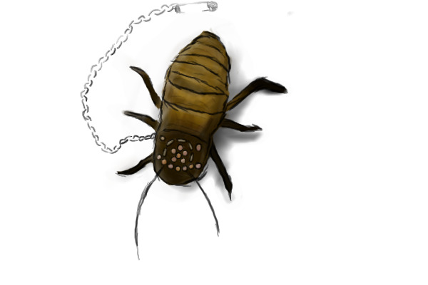 Bejeweled Cockroach