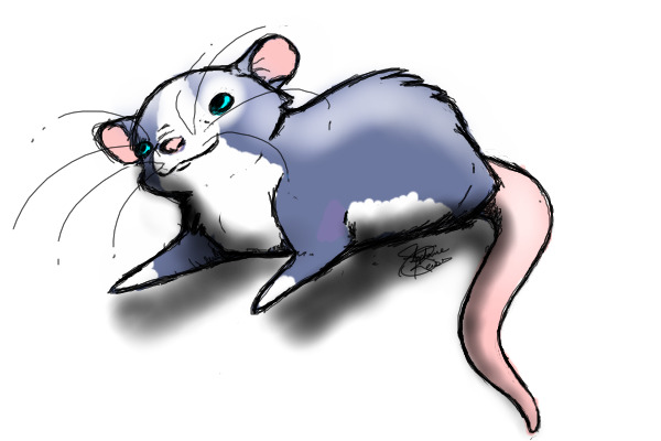 Mouse