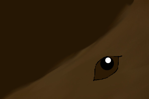 A Chestnut's Eye