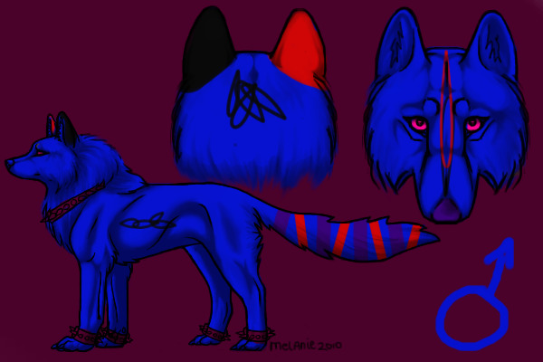 contest entry
