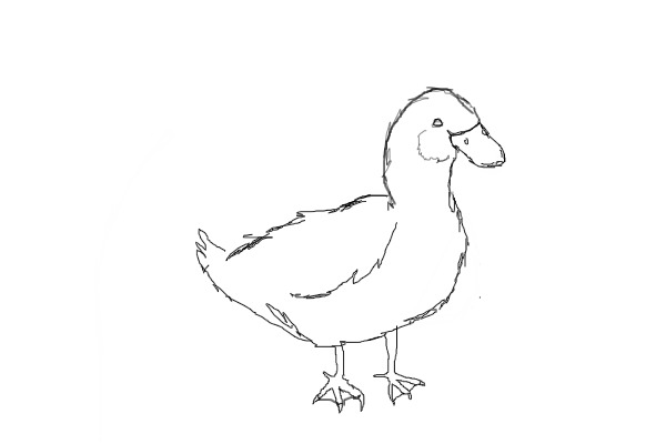 I FAIL at ducks.