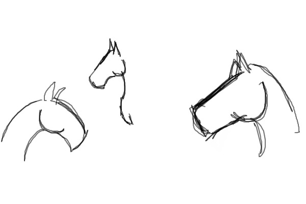 Horse Head Sketch