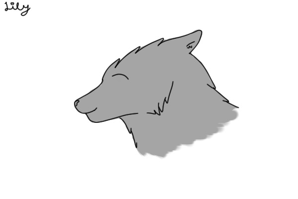 ADOPT A WOLF TODAY~CUSTOMS OPEN