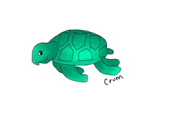 Make a Turtle! :D