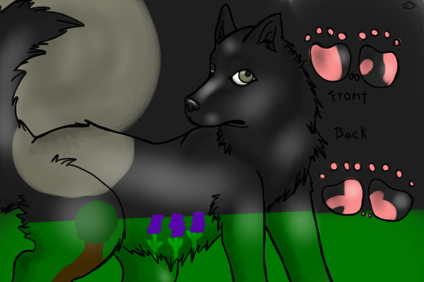 Night(contest entry)
