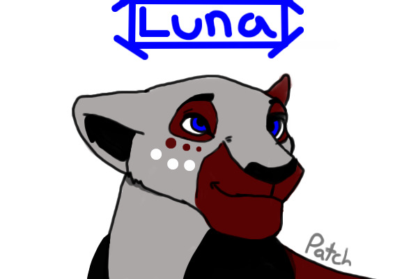 Luna the Lioness