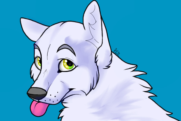 White wolf