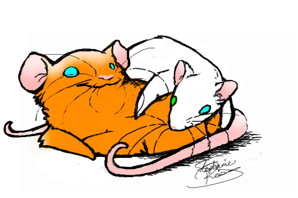 mice