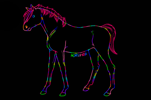 rainbowww foal