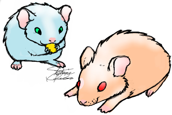 Hamsters