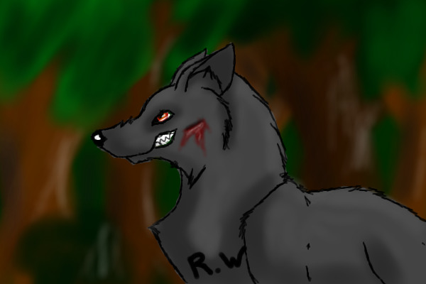 Simple wolf in forest