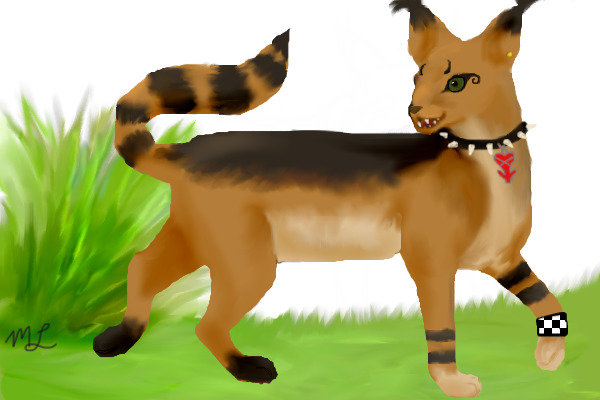 Xanre Commish: Meadowlarke