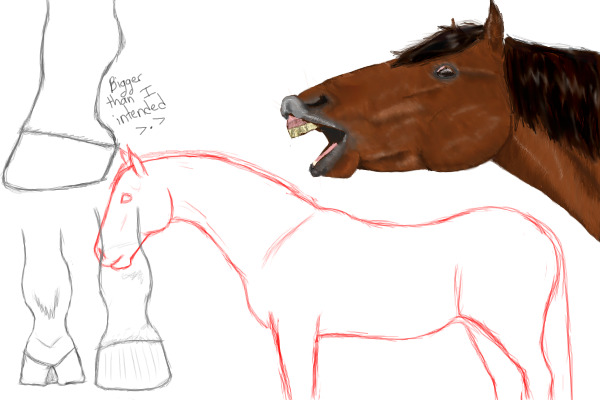 Horse Anatomy Sketch Practice?