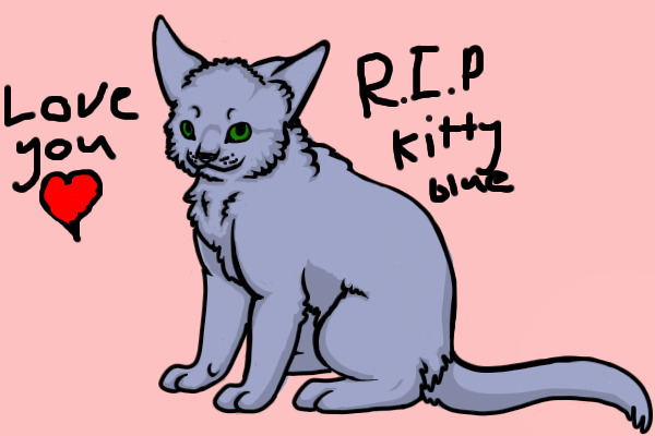 RIP Kitty Blue