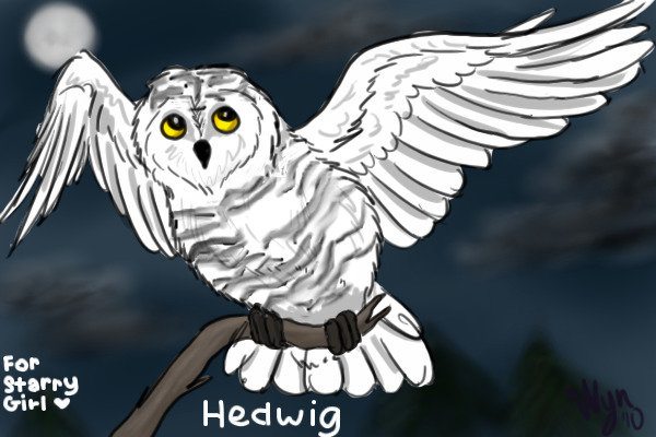 Hedwig Entry