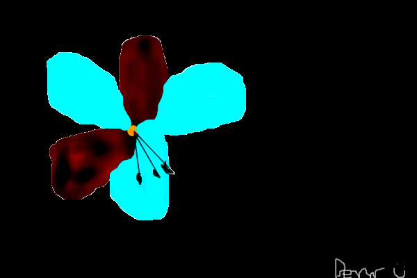 a flower