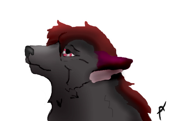 wolf