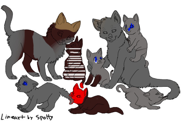cats&kittens
