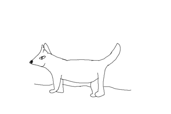 Draw my future Dog!