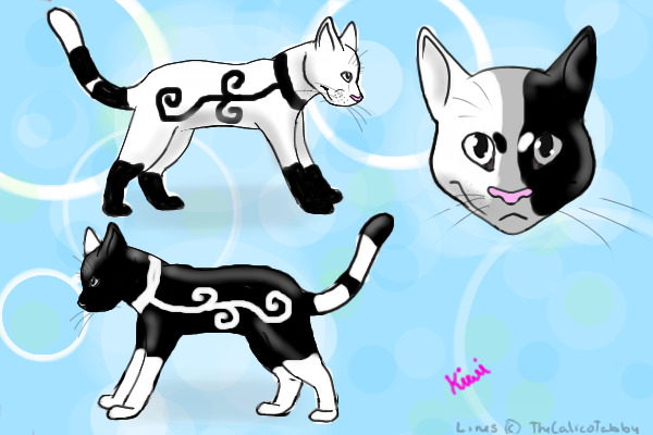 WArrior cats for contest