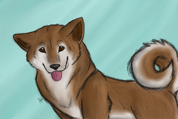 Some Kind of Dog xD