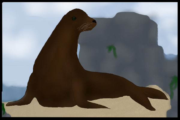 Sea Lion Hiding<3
