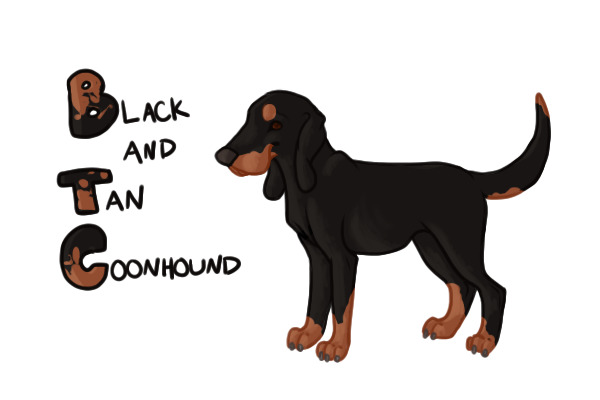 Alphabreeds - Black and Tan Coonhound