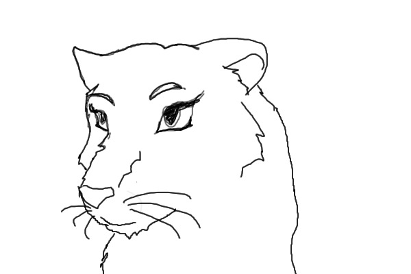 Cat/Lion/Lioness/Tiger/Cheeyah/Leopard/Ect (WIP)