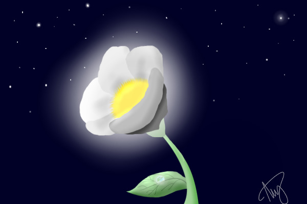 Moon flower