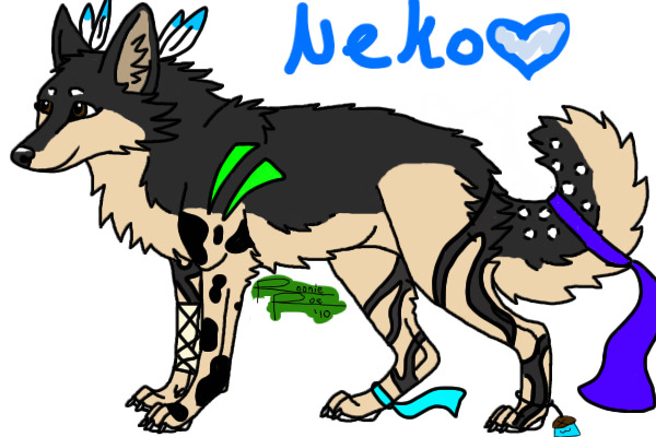 Neko <3