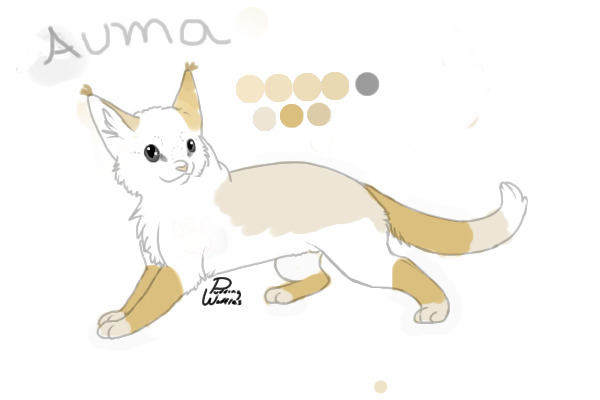 Introducing Auma