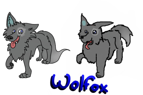 Wolfox Adopts