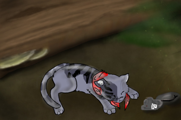 Shark, Nyanlicious's cat