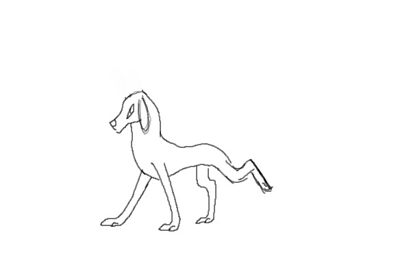 Create a pup!